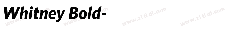 Whitney Bold字体转换 Whitney Bold字体转换